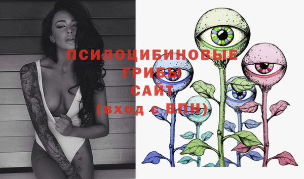 MDMA Premium VHQ Беломорск