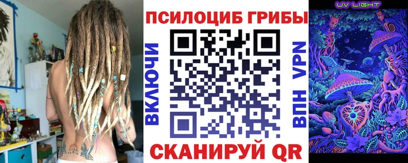 кракен ссылки  Горно-Алтайск  Галлюциногенные грибы мицелий 