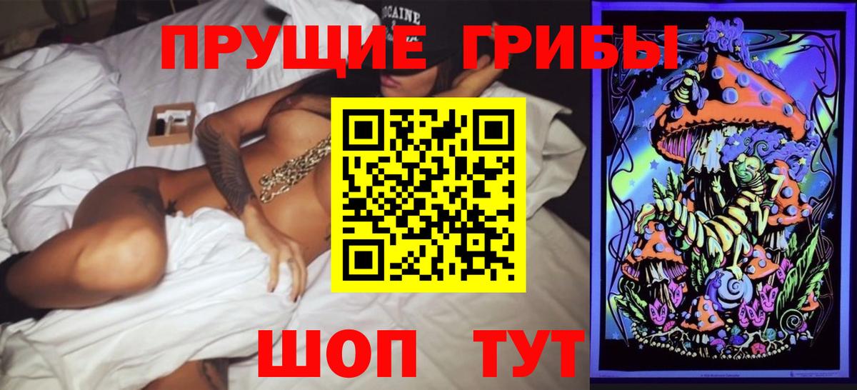 хочу наркоту  Вход с VPN  Горно-Алтайск  Галлюциногенные грибы мицелий  Псилоцибиновые грибы Psilocybine cubensis 
